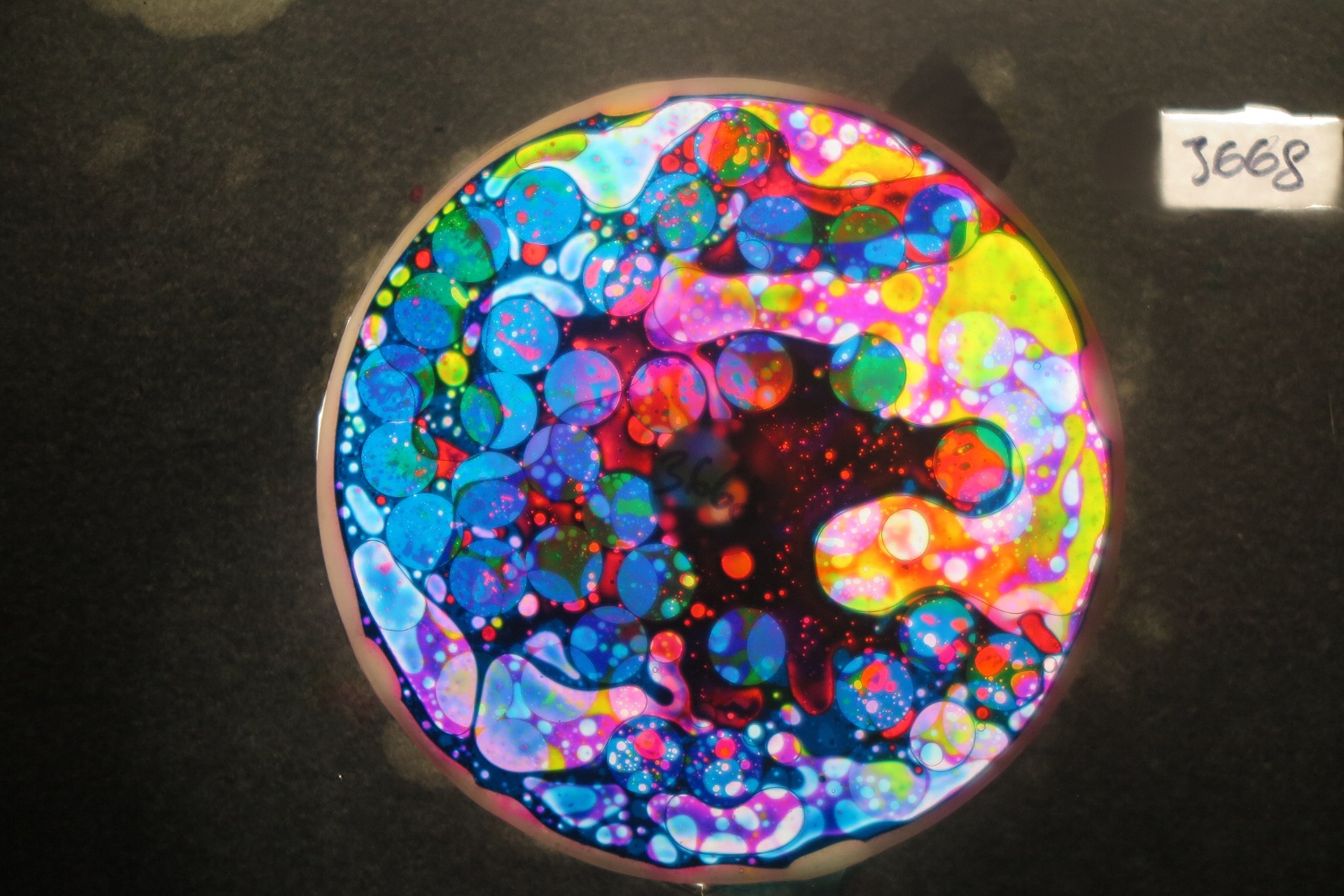 BV3668 bubble vision oil wheel